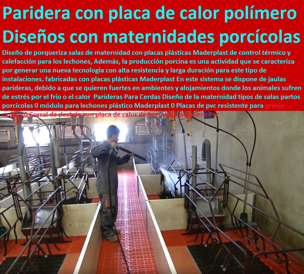 Parideras Para Cerdas Diseño de la maternidad tipos de salas partos porcícolas 0 módulo para lechones plástico Maderplast 0 Placas de pvc resistente para granja cerdos 0 como criar marranos, cómo criar cerdos técnicas modernas, manual para criar cerdos, como hacer un criadero de cerdos, cría de cerdos rentabilidad técnicamente, como engordar cerdos con maíz tecnificado, instalaciones para cría de cerdos, Corral de destete con placa de calor de hormigón polímero Pvc Parideras Para Cerdas Diseño de la maternidad tipos de salas partos porcícolas 0 módulo para lechones plástico Maderplast 0 Placas de pvc resistente para granja cerdos 0 Corral de destete con placa de calor de hormigón polímero Pvc